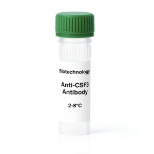 Anti-CSF3 Antibody