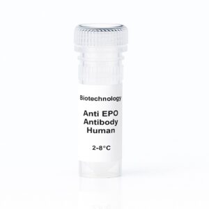 Anti-EPO Antibody Human