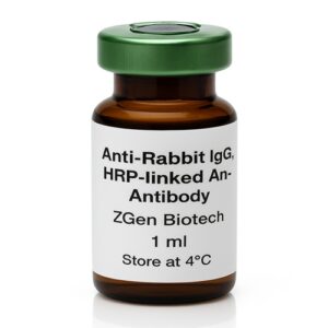 Anti-Rabbit IgG HRP-linked Antibody