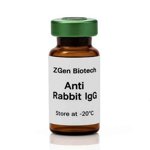Anti-Rabbit IgG