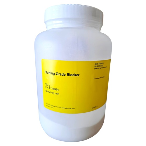 Blotting-Grade Blocker (Skim Milk) Reagent