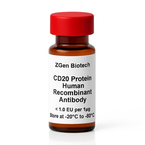 CD20 Protein Human Recombinant Antibody