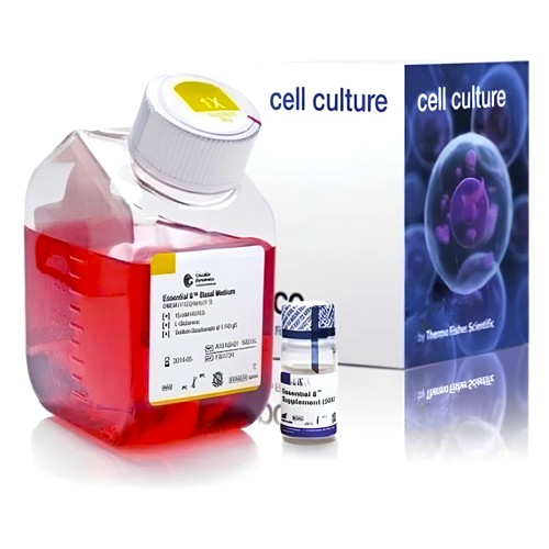 DMEM Low Glucose GlutaMax Supplement Pyruvate 1