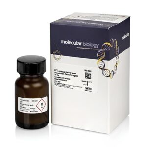 DTT (Dithiothreitol) Reagent 5 g