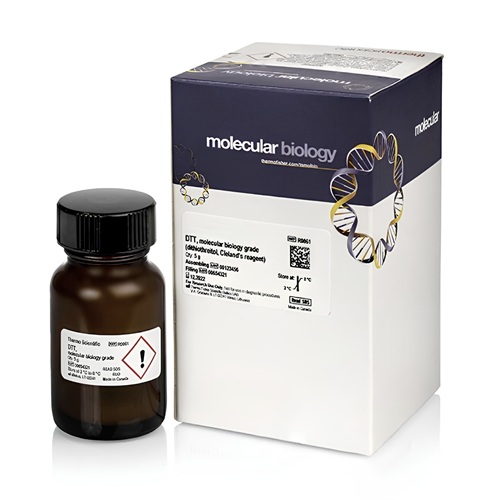 DTT (Dithiothreitol) Reagent 5 g