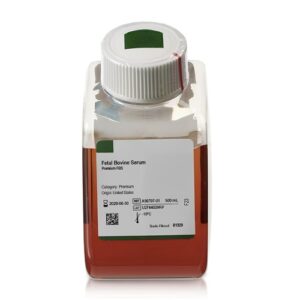Fetal Bovine Serum (FBS) Reagent 500 mL