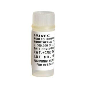 HUVEC Cell Lines Human-1 Vial