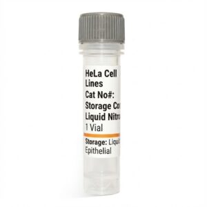 HeLa Cell Lines Human 1 Vial