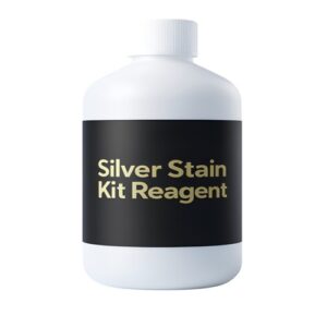 Silver Stain Kit Reagent