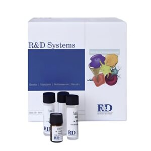 DuoSet ELISA Human ACE Kit