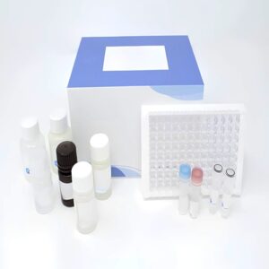 DuoSet Human Neprilysin ELISA Kit